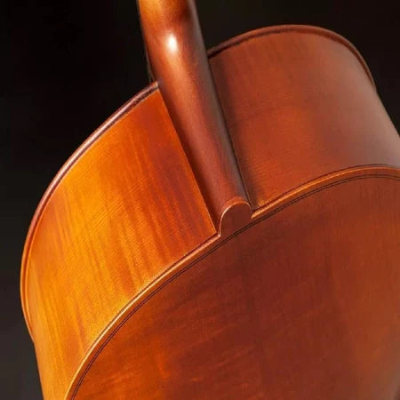 Violoncelo Hofma Hce 110 4/4