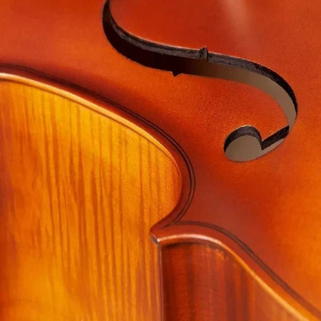 Violoncelo Hofma Hce 110 4/4